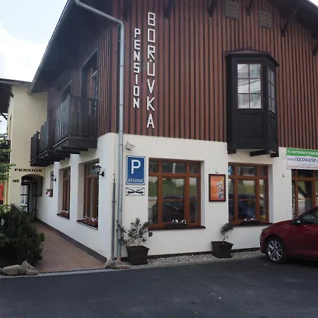 Boruvka * Špindlerŭv Mlýn