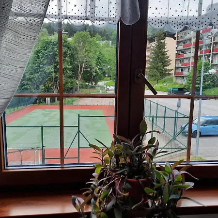 Boruvka Apartment *