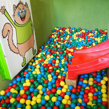 Apartment Boruvka *