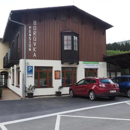 Apartment Boruvka