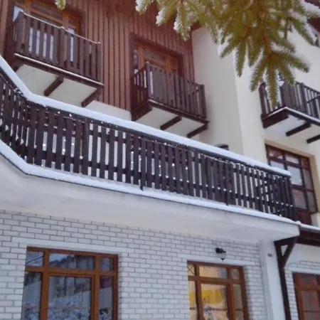 Boruvka スピンドレルフ・ムリン