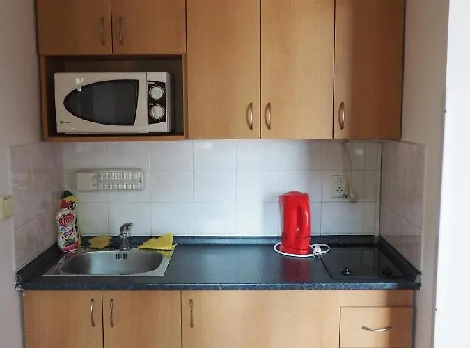 アパート Boruvka *