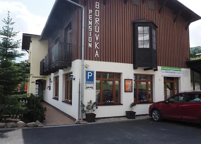 Boruvka * Spindleruv Mlyn